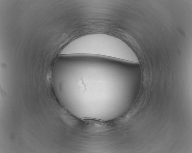 X0000090970329200708021148