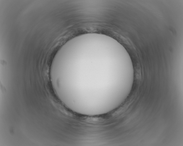 X0000090970332200708021148