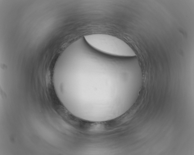 X0000090970335200708021147
