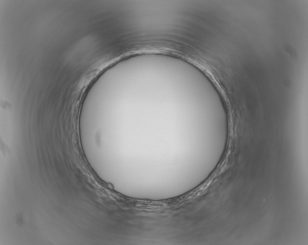 X0000090970337200708021147