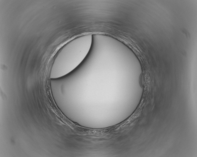 X0000090970338200708021147