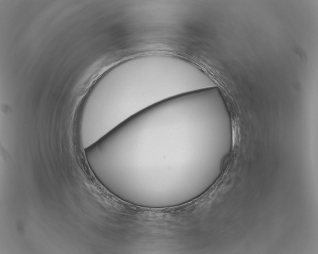 X0000090970339200708021147