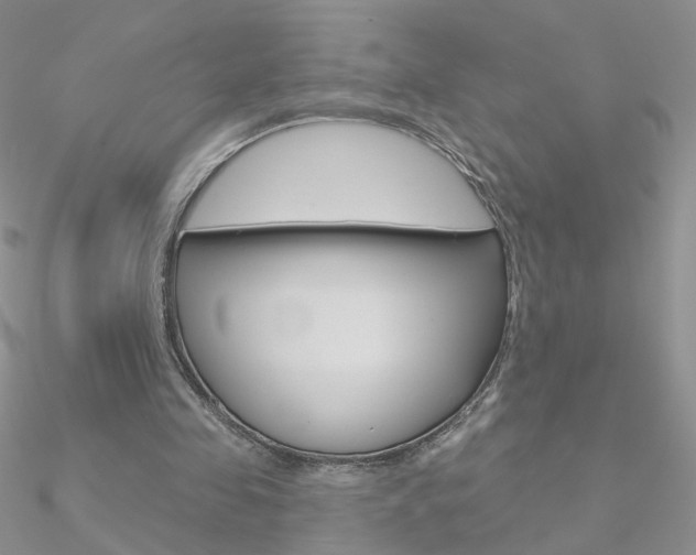 X0000090970341200708021147