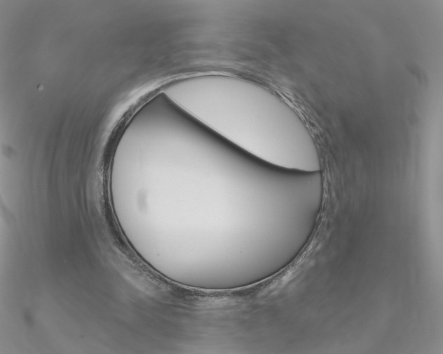 X0000090970342200708021147