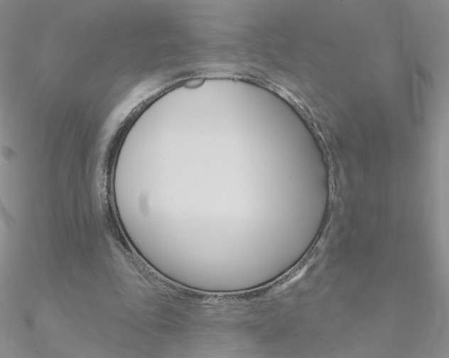 X0000090970343200708021147