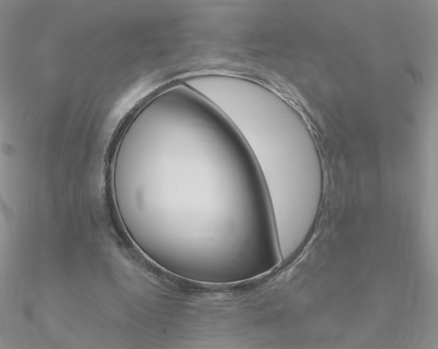X0000090970344200708021147