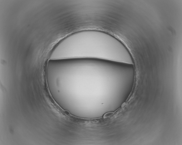 X0000090970345200708021147