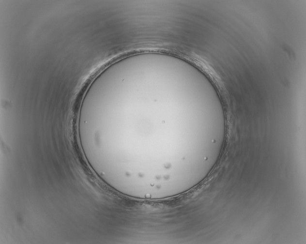 X0000090970346200708021147