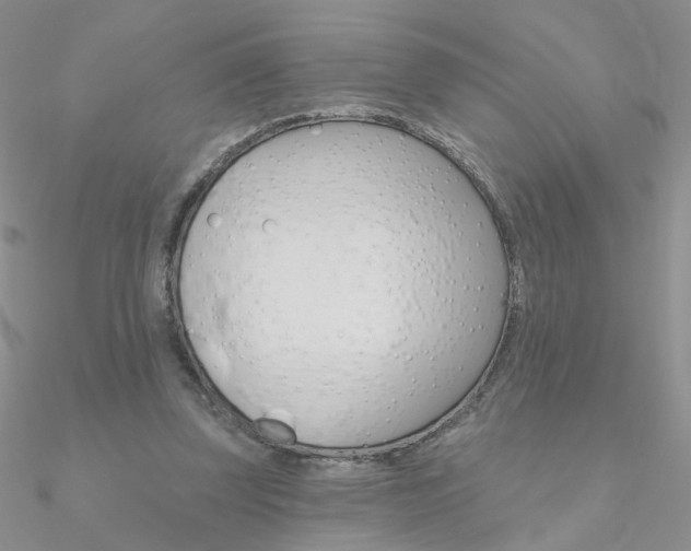 X0000090970347200708021147