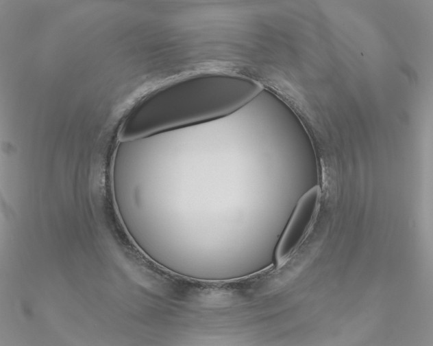 X0000090970348200708021147