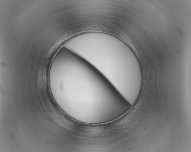 X0000090970349200708021147