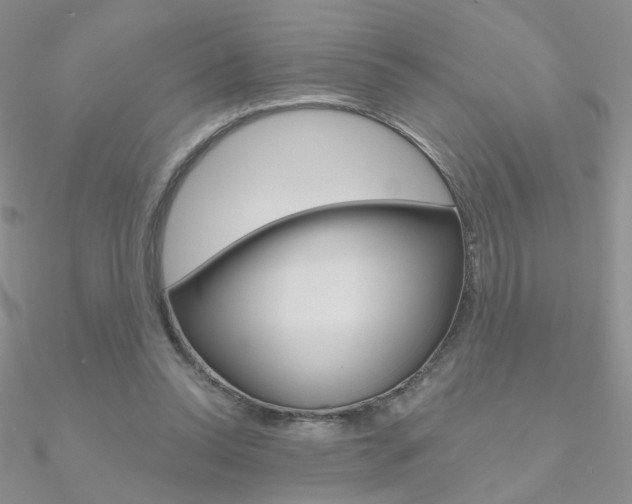 X0000090970350200708021147