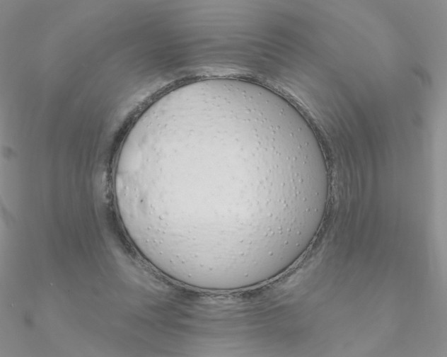 X0000090970351200708021147