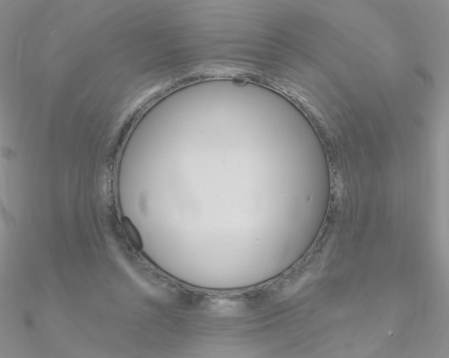 X0000090970352200708021147