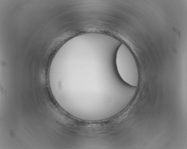 X0000090970353200708021147