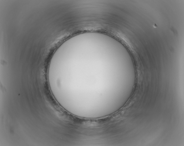 X0000090970354200708021147