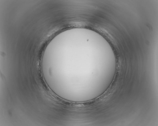 X0000090970355200708021147