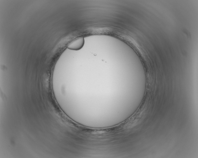 X0000090970357200708021147