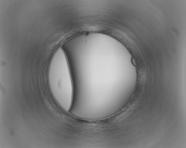 X0000090970358200708021147