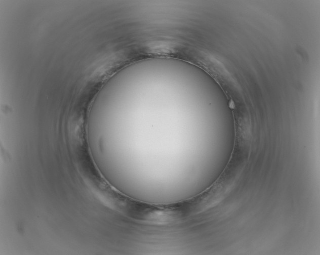 X0000090970364200708021147