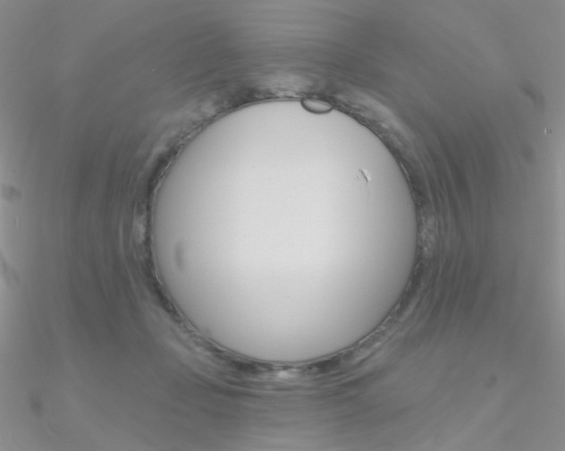 X0000090970365200708021147