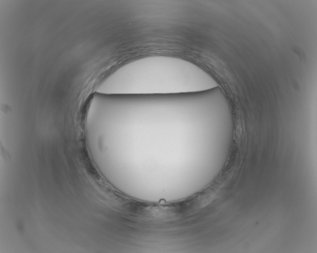 X0000090970367200708021147