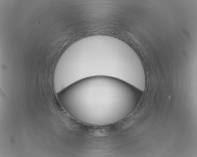 X0000090970368200708021147