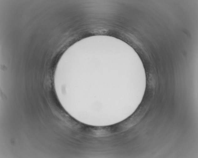 X0000090970370200708021147