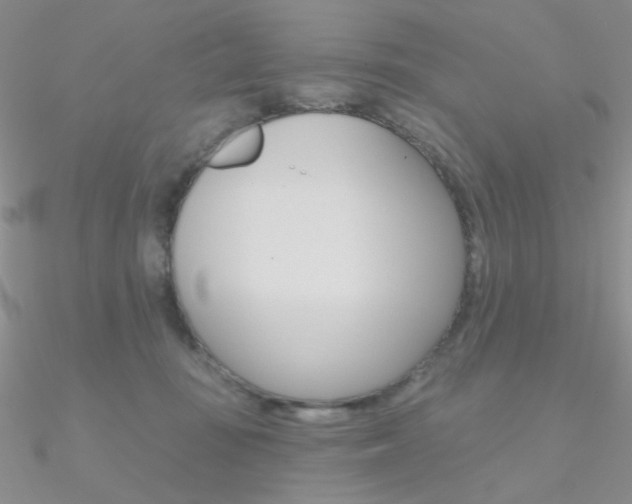 X0000090970371200708021147