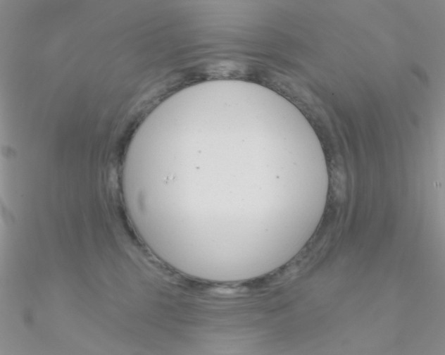X0000090970375200708021147