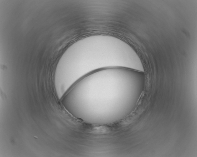 X0000090970376200708021147