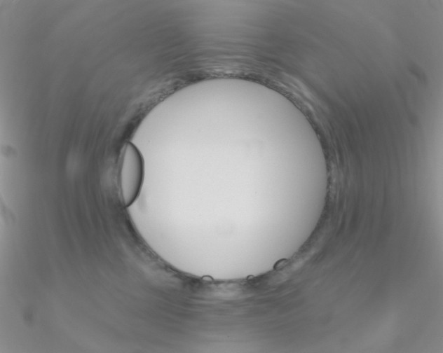 X0000090970377200708021147