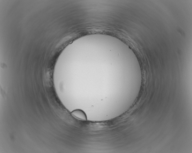X0000090970378200708021147
