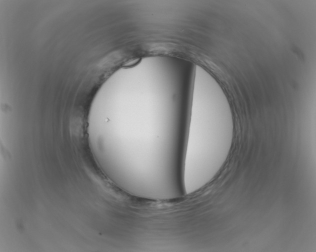 X0000090970379200708021147