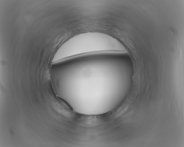 X0000090970384200708021147