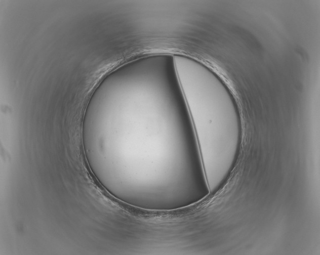 X0000090970385200708021147