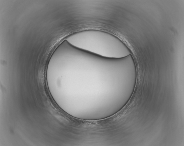X0000090970386200708021147