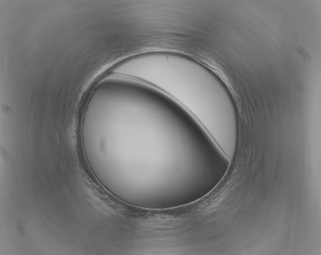 X0000090970387200708021147