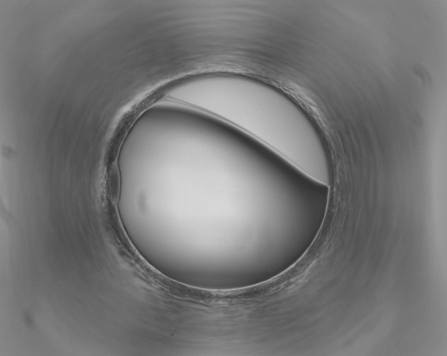 X0000090970388200708021147