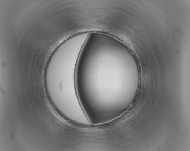 X0000090970389200708021147