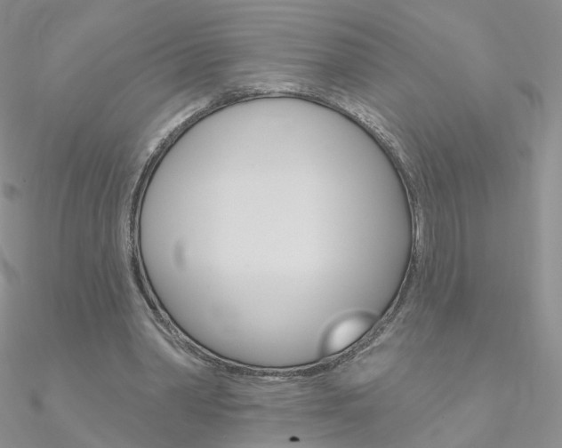 X0000090970390200708021147