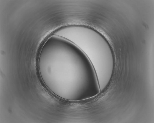X0000090970391200708021147
