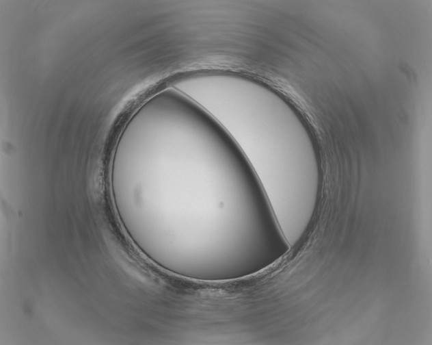 X0000090970392200708021147