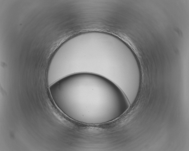 X0000090970393200708021147