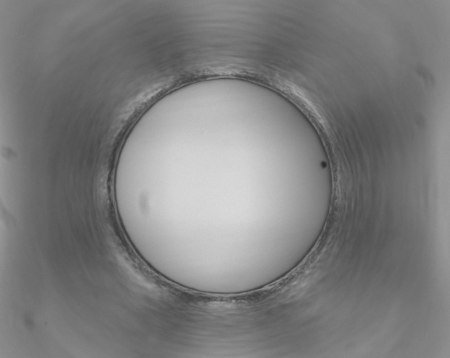 X0000090970394200708021147