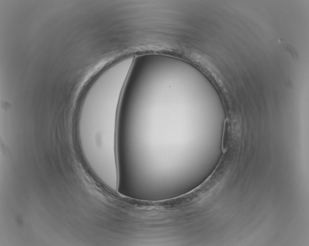 X0000090970395200708021147