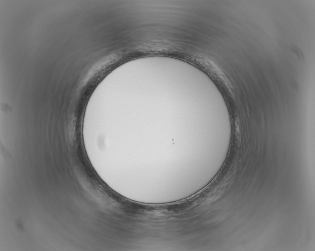 X0000090970396200708021147