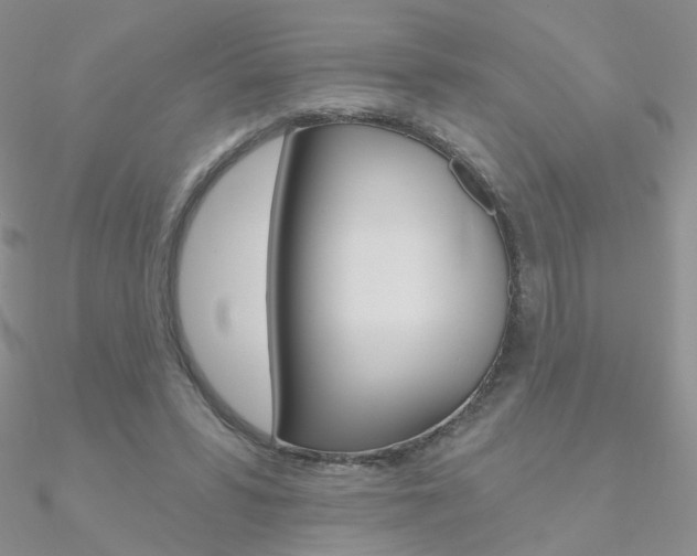 X0000090970399200708021147
