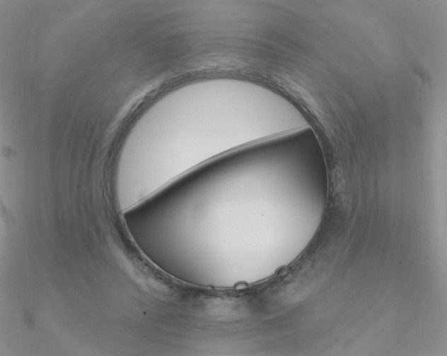 X0000090970400200708021147