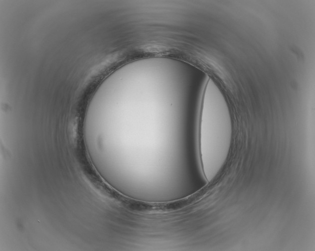 X0000090970404200708021147